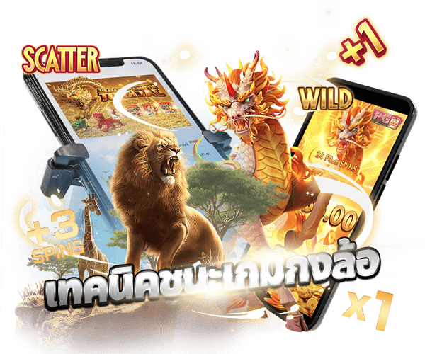 CATCAT เว็บสล็อต